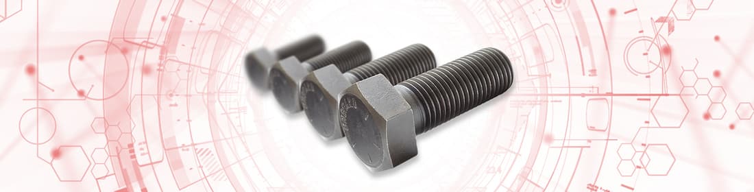 Hex Bolts / Screws